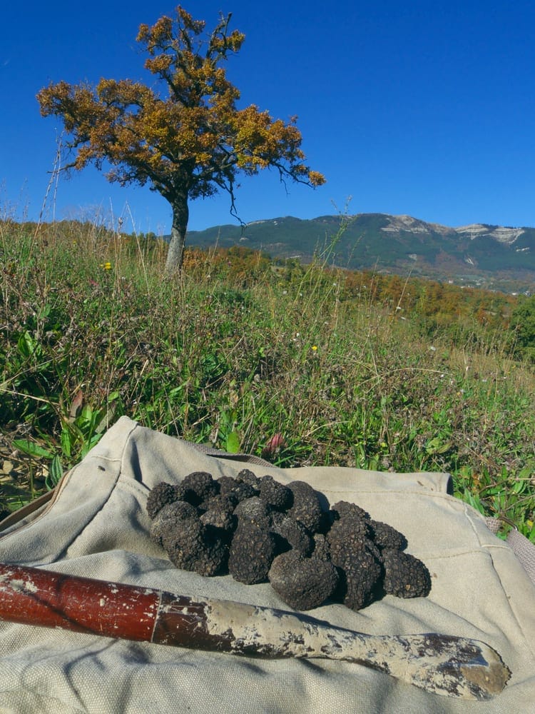 Italian truffles