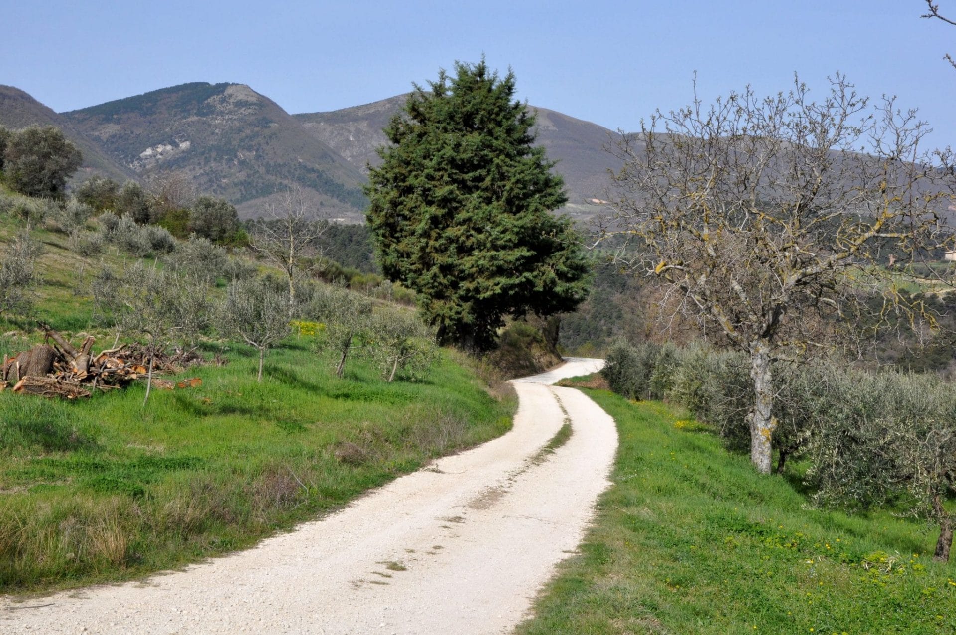 Roads in Italy's countryside can be difficult!