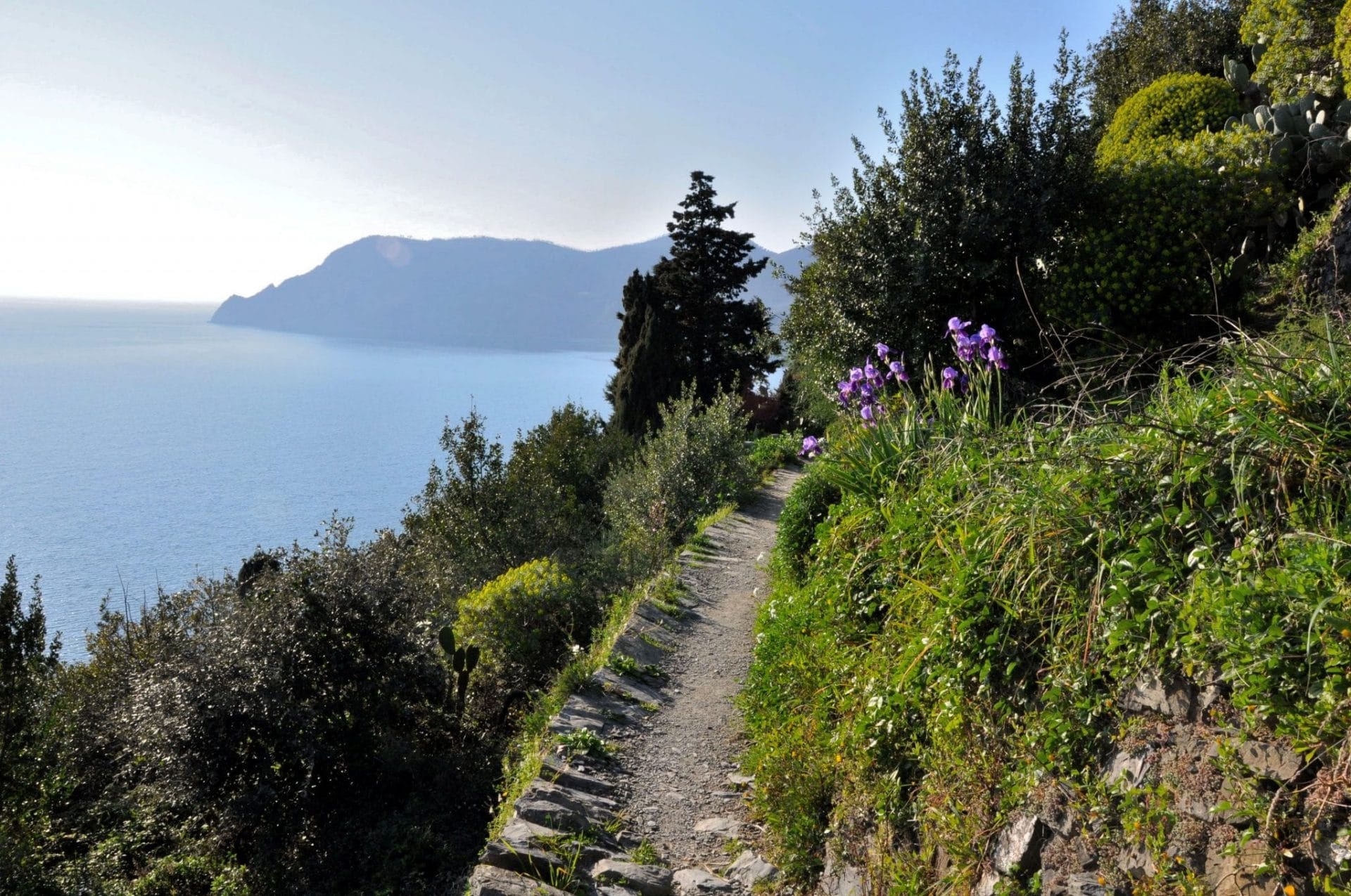 hiking in the cinque terre