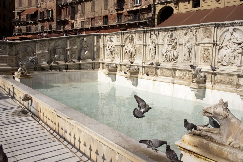 What to see in Siena