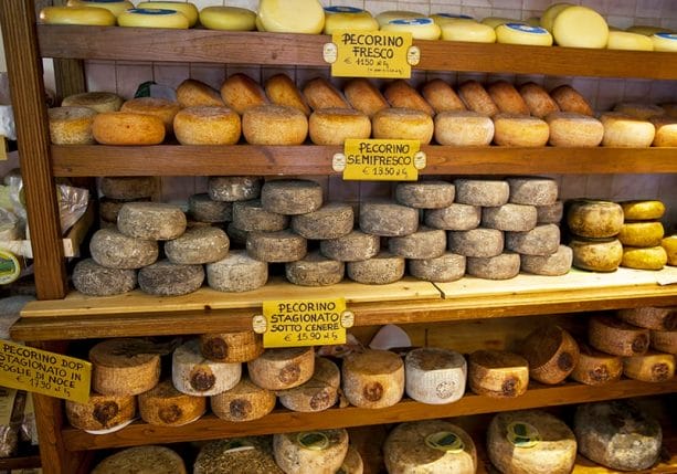 Pecorino cheese in Toscana