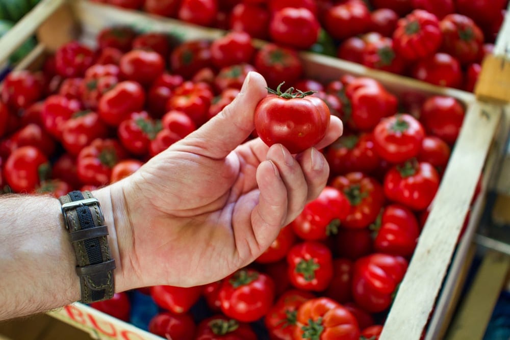 A ripe Italian tomato is definitely worthy of a photo!