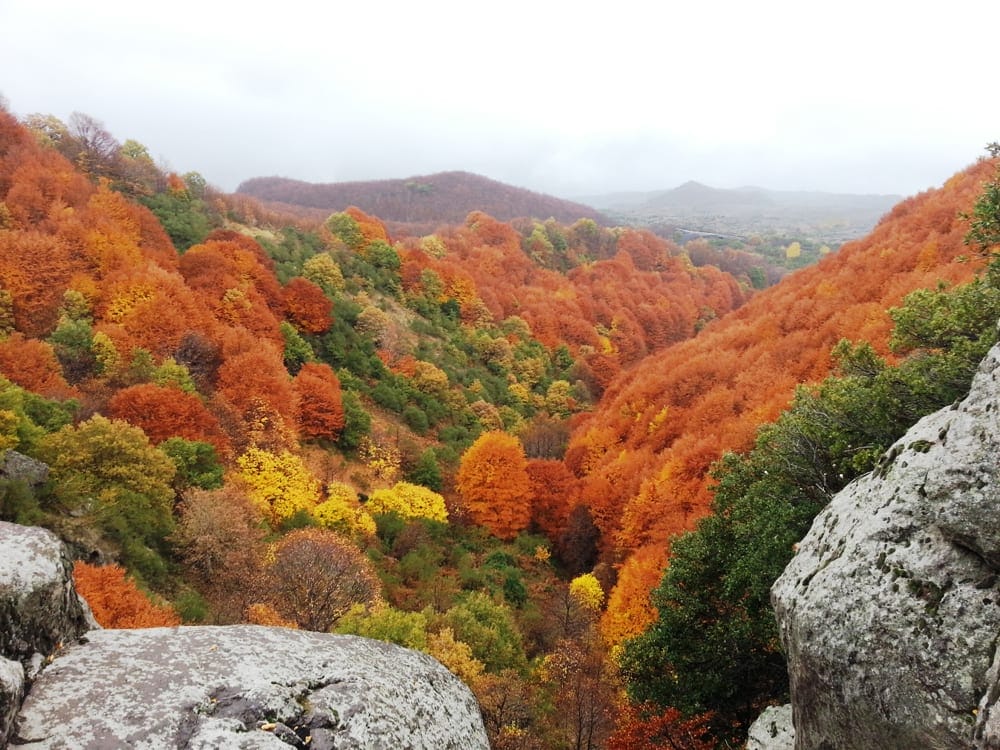 Autumn on Mt. Etna. Find out why to visit Mt. Etna on the Walks of Italy blog.
