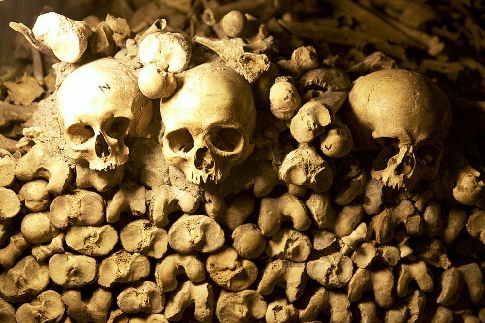 Bone Decorations Paris Catacombs